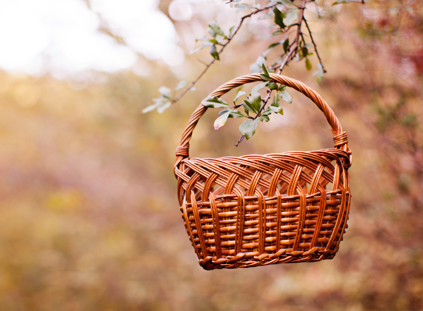 basket on tree